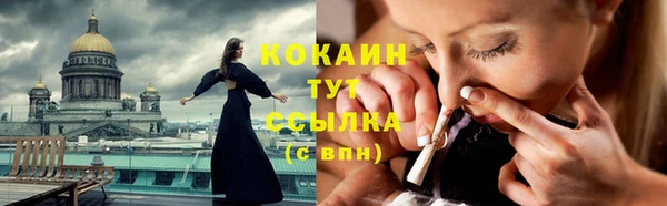 Альфа ПВП Дмитриев