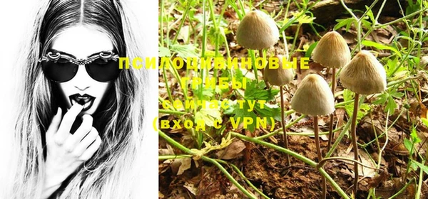 дурь Дмитровск