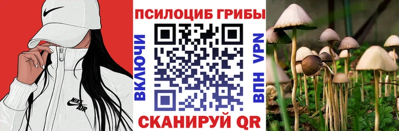 Галлюциногенные грибы Psilocybe  Купить  Симферополь 